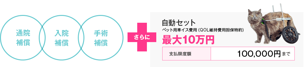 通院・入院・手術、さらに自動セットで車イス補償がついてくる 最大10万円
