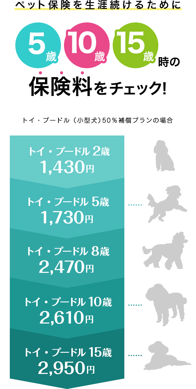 ペット保険を生涯続けるために5歳10歳15歳時の保険料をチェック！