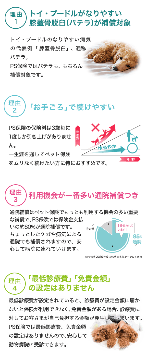 トイ プードルを迎えたら ペット保険の Ps保険 へ