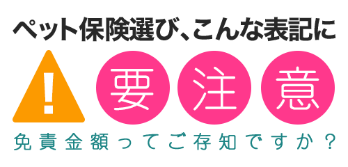 ペット保険選び、こんな表記に要注意！免責金額ってご存じですか？