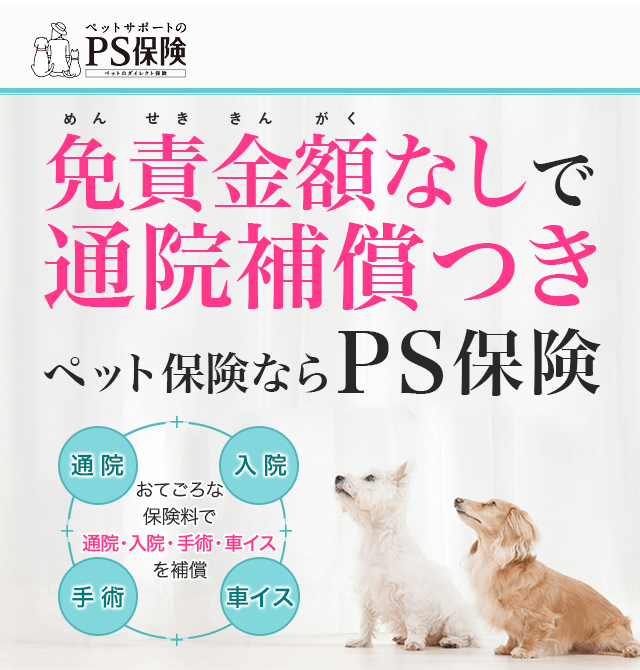 ランキング入賞・受賞多数