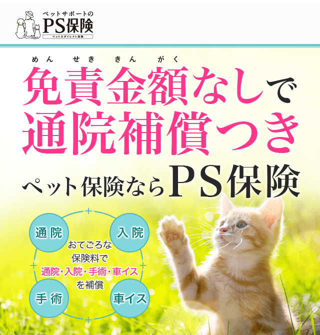 ランキング入賞・受賞多数