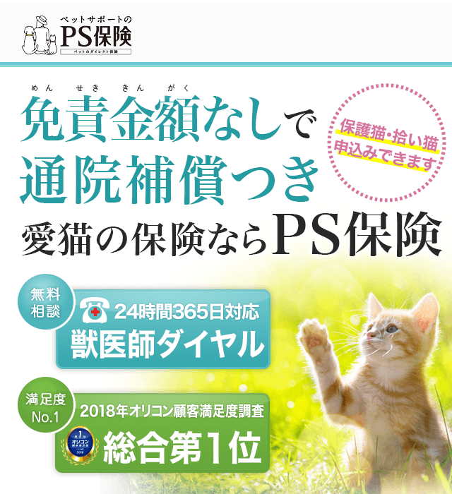 ランキング入賞・受賞多数