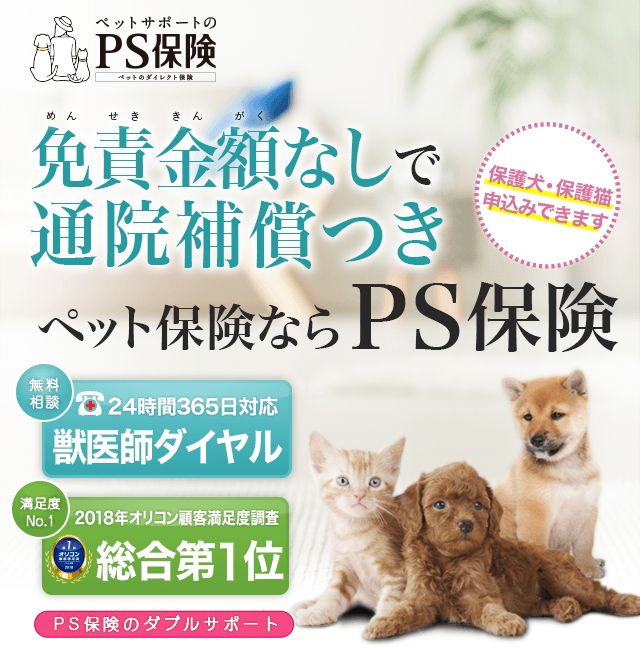 ランキング入賞・受賞多数