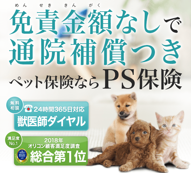 ランキング入賞・受賞多数