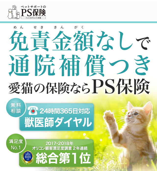 ランキング入賞・受賞多数