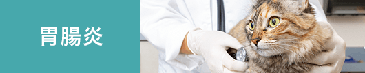 胃腸炎