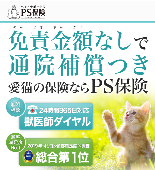 ランキング入賞・受賞多数