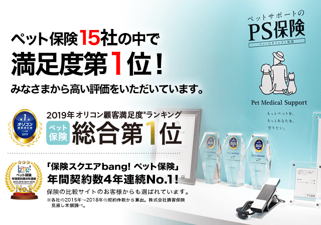 ランキング入賞・受賞多数