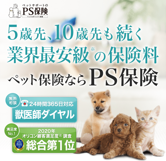 5年後、10年後も、業界最安級の保険料
