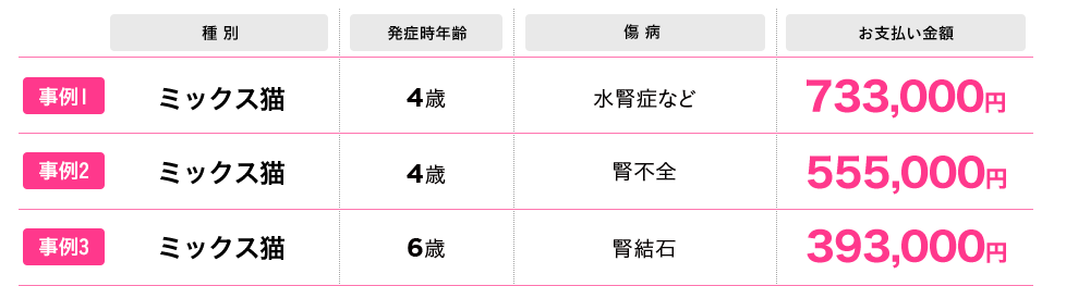 保険金 高額お支払い事例イメージ