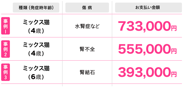 2019年4月1日~2020年3月31日までの猫の保険金お支払い事例