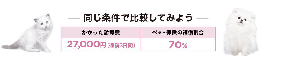 同じ条件で比較してみよう
