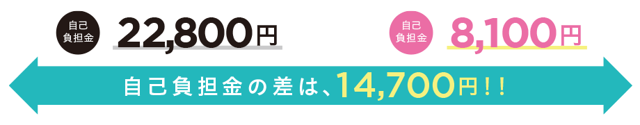 お支払い保険金