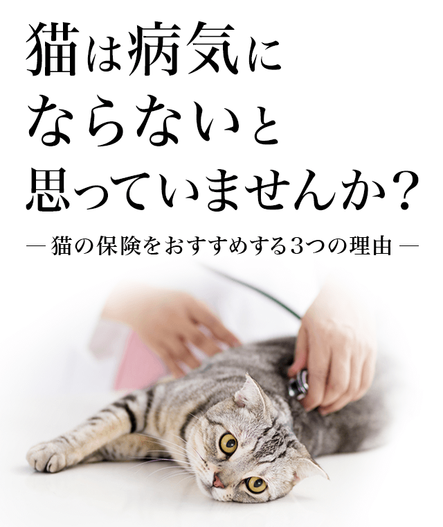 猫の保険について  ペット保険の「PS保険」少額短期保険ペット 