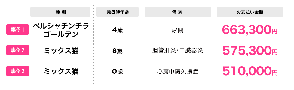 保険金 高額お支払い事例イメージ