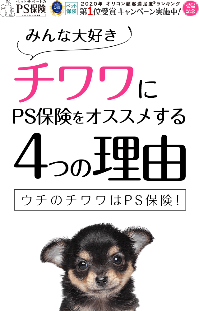 ウチのチワワにPS保険を選んだ4つの理由