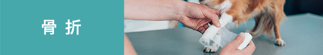 骨折