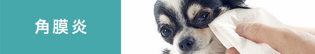 角膜炎