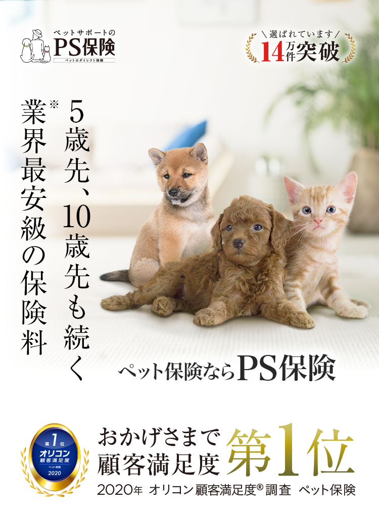 5年後、10年後も、業界最安級の保険料