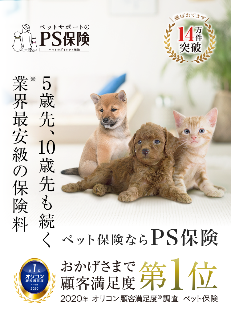 5年後、10年後も、業界最安級の保険料