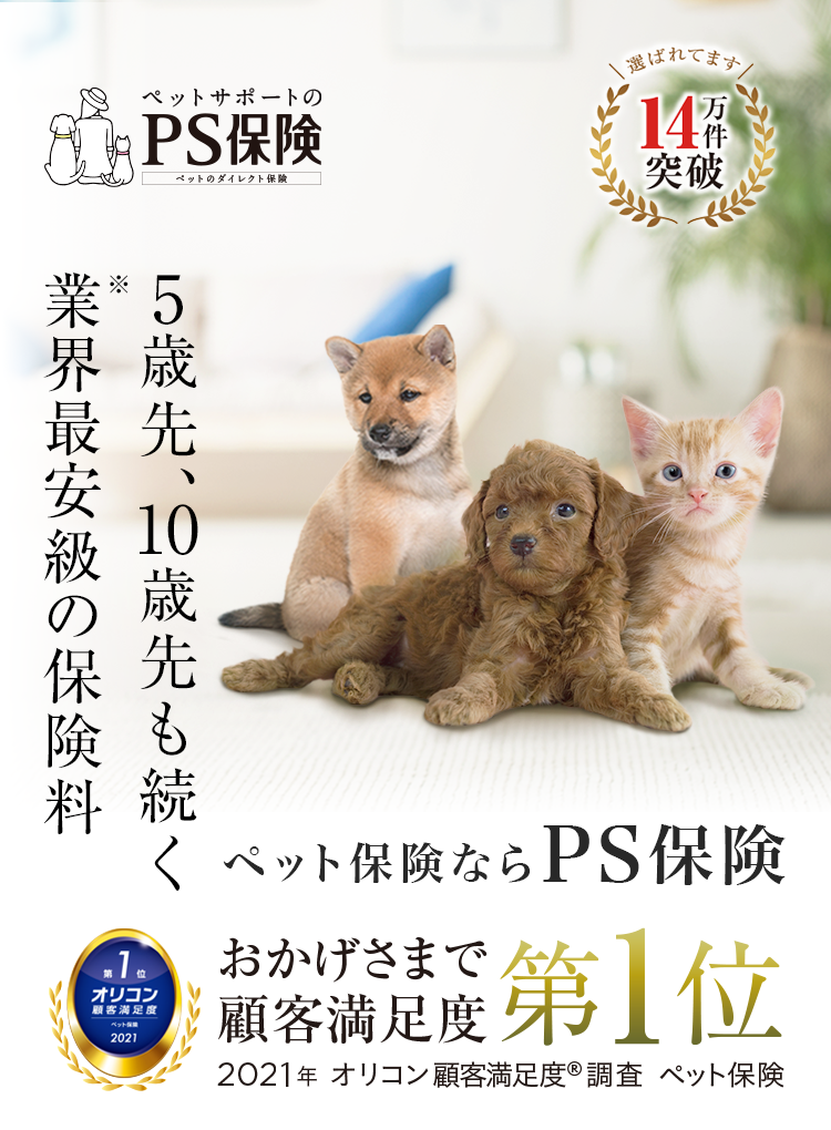 5年後、10年後も、業界最安級の保険料