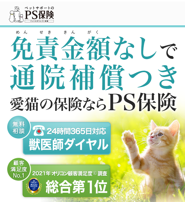 ランキング入賞・受賞多数
