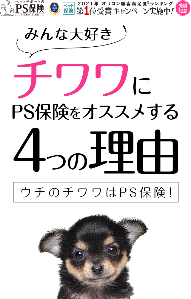 ウチのチワワにPS保険を選んだ4つの理由