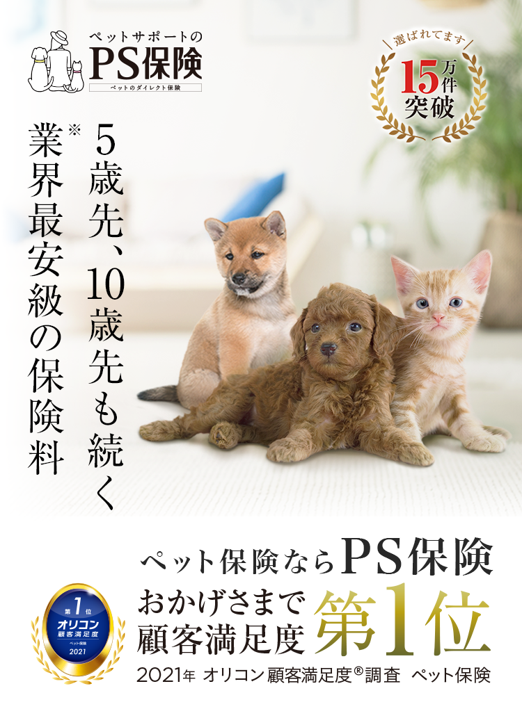 5年後、10年後も、業界最安級の保険料