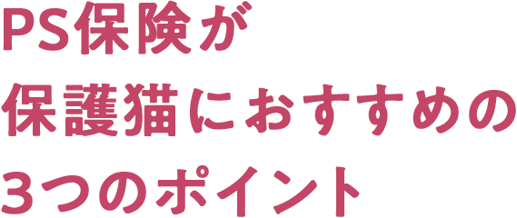 PS保険が保護猫におすすめの3つのポイント