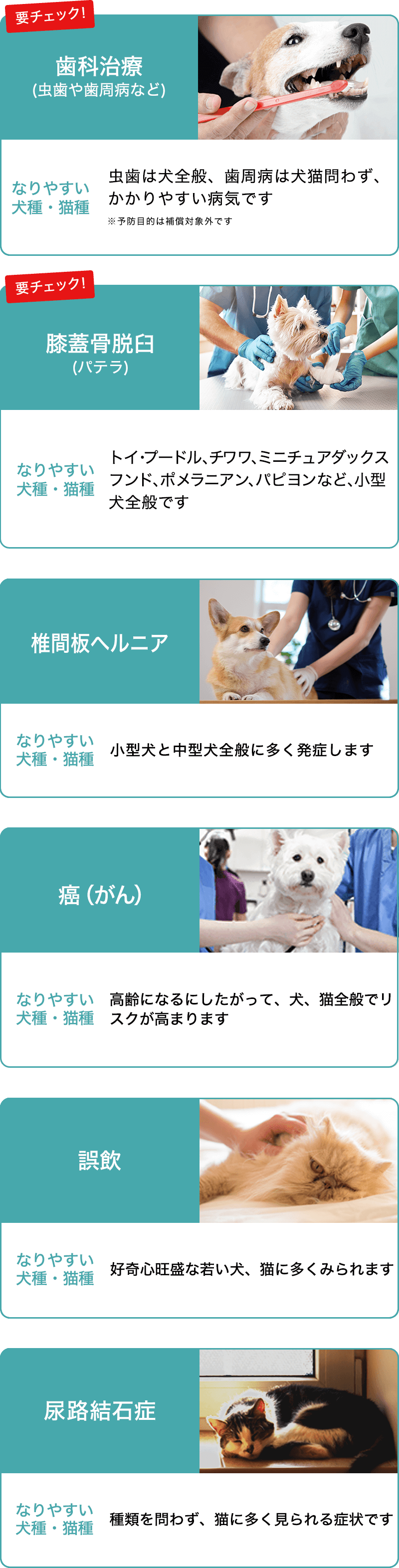 PS保険が補償するケガや病気一覧