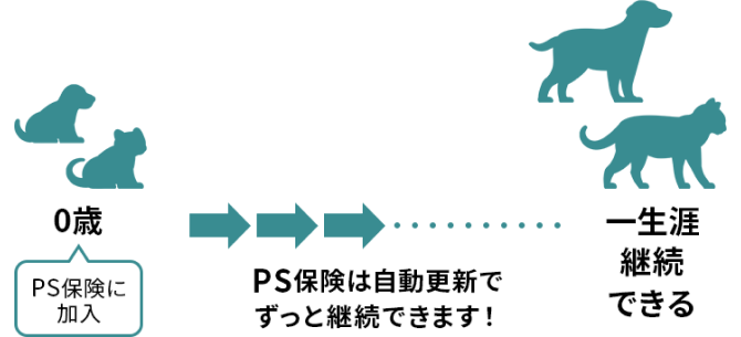 PS保険は一度加入したらずっと継続できるイメージ