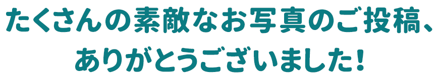 たくさんの素敵なお写真のご投稿、ありがとうございました！