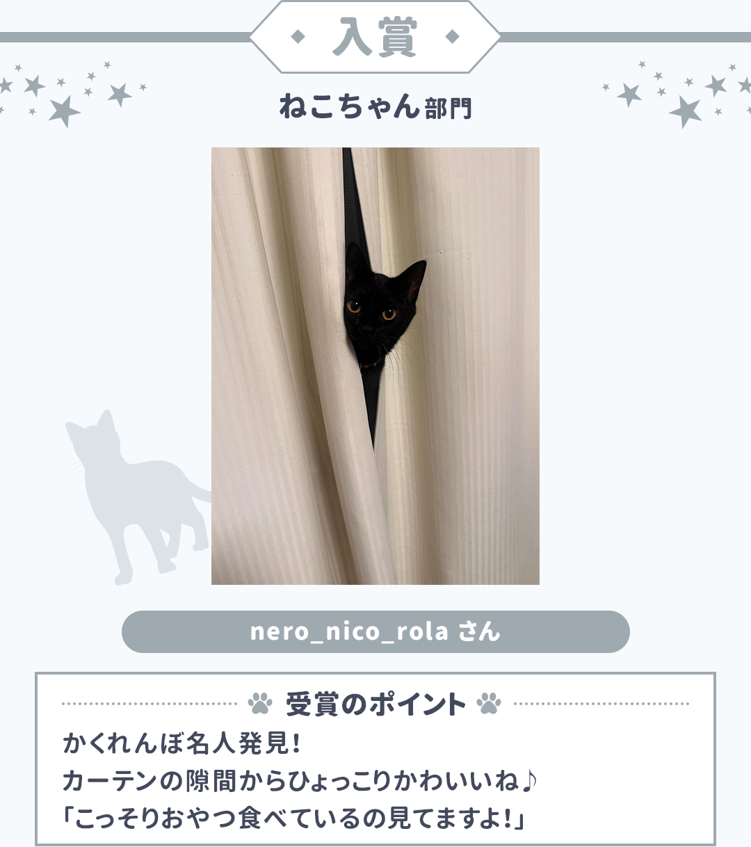 入賞 ねこちゃん部門 nero_nico_rolaさん