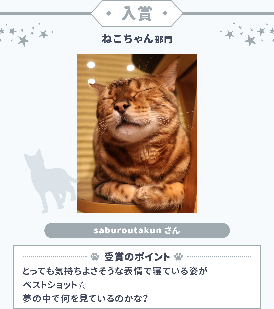 入賞 ねこちゃん部門 saburoutakunさん