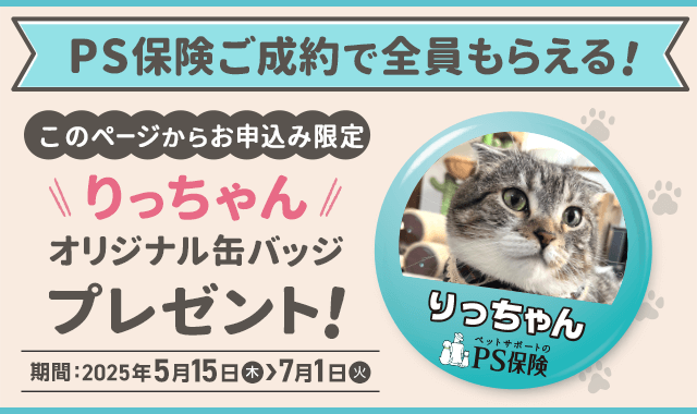 PS保険ご成約で全員もらえる！ このページからお申込み限定 りっちゃんオリジナル缶バッジプレゼント！ 2025年5月15日（木）～7月1日（火）まで