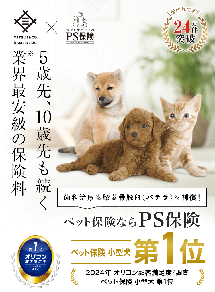 5歳先、10歳先も続く業界最安級の保険料