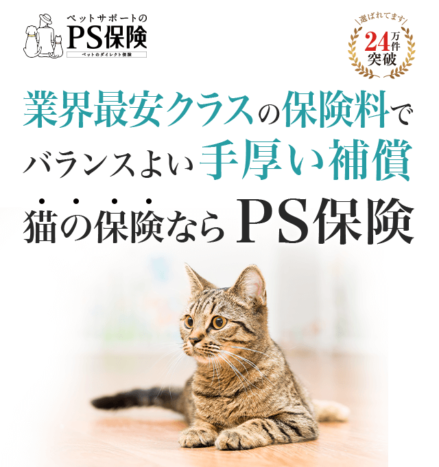 業界最安級の保険料でバランスのとれた手厚い補償。猫のPS保険