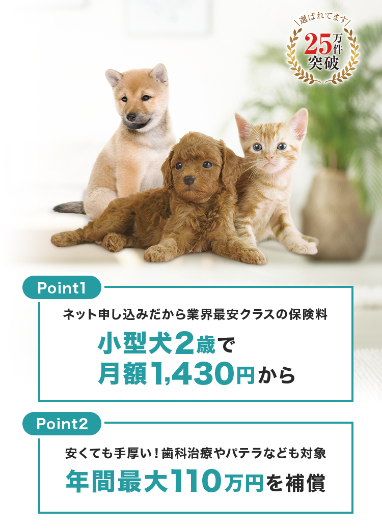 PS保険はスマホで簡単にお申し込み ネット申し込みだから業界最安クラスの保険料