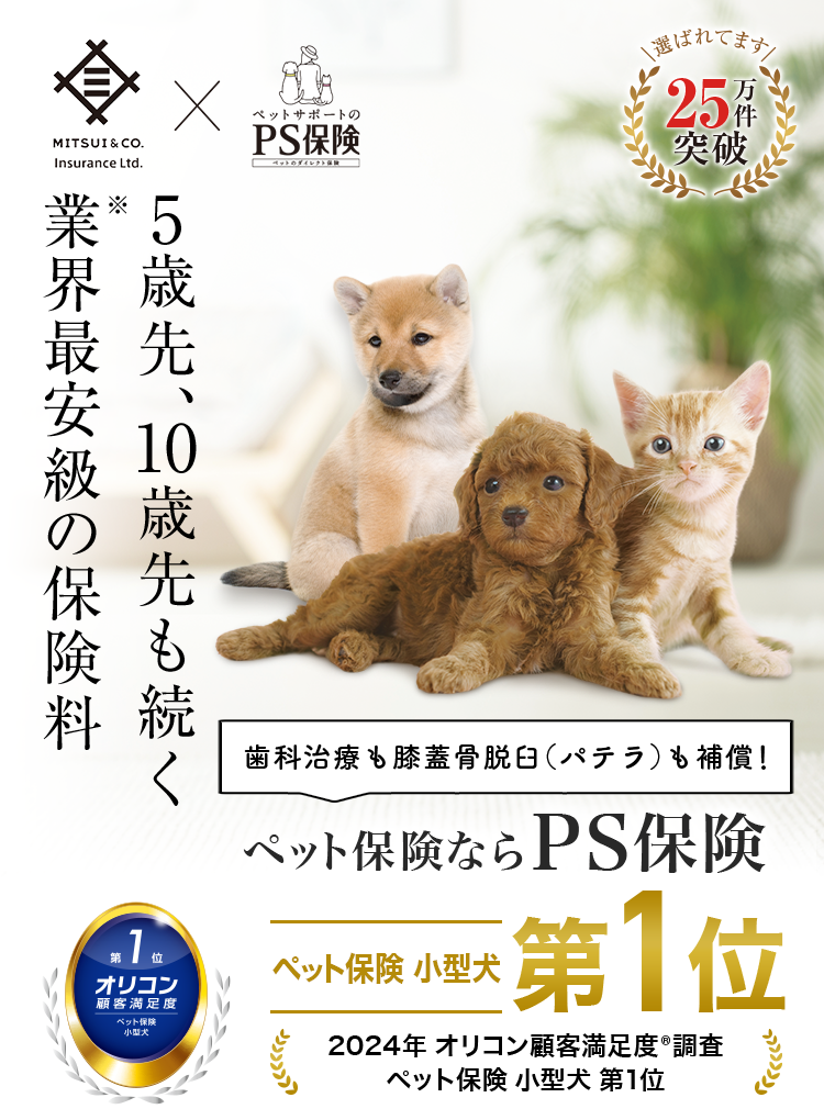 5歳先、10歳先も続く業界最安級の保険料