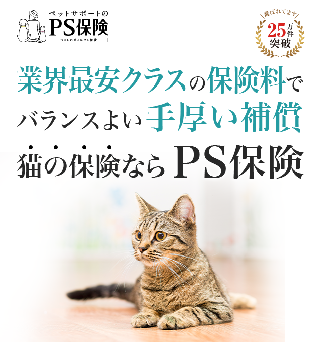 業界最安級の保険料でバランスのとれた手厚い補償。猫のPS保険