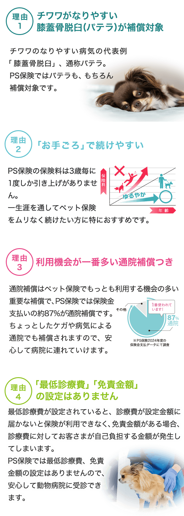 PS保険をチワワにオススメする理由のイメージ