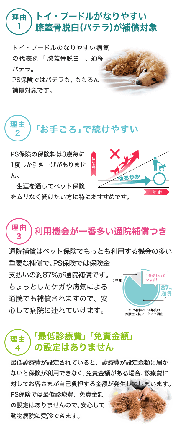 PS保険をトイ・プードルにオススメする4つの理由
