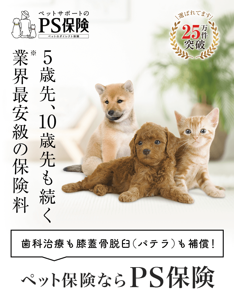5歳先、10歳先も続く業界最安級の保険料