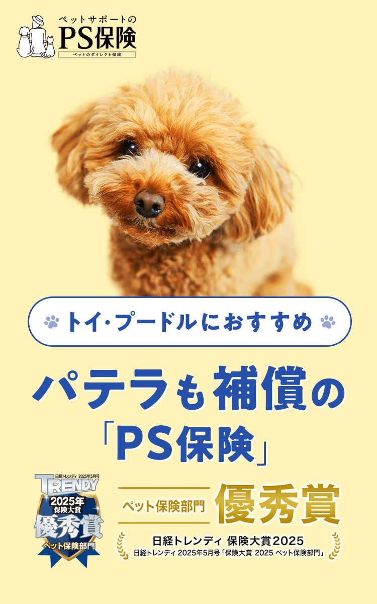 トイ・プードルにおすすめ パテラも補償の「PS保険」