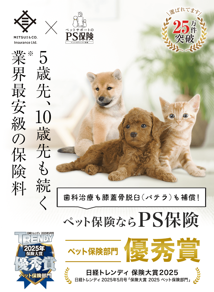 5歳先、10歳先も続く業界最安級の保険料
