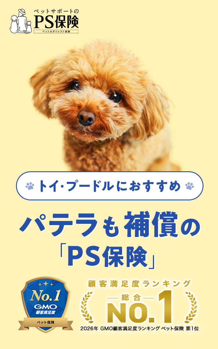 トイ・プードルにおすすめ パテラも補償の「PS保険」