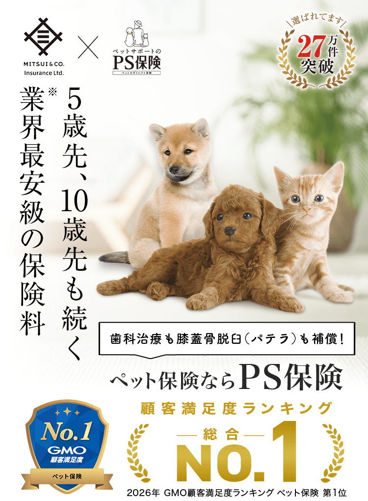 5歳先、10歳先も続く業界最安級の保険料