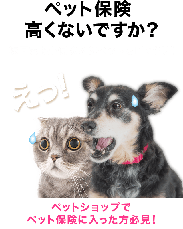 ご加入中のペット保険 高すぎませんか?