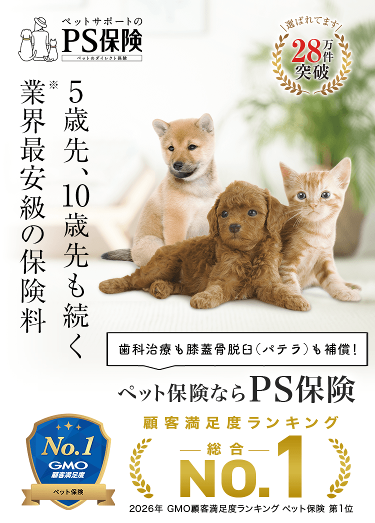 PS保険は5歳先・10歳先も続く業界最安級の保険料で、歯科治療や膝蓋骨脱臼も補償します